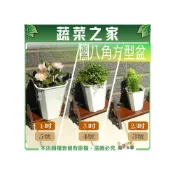 (店+)【蔬菜之家】加高八角方型盆-2.5吋3號、3吋4號、4吋5號  多肉盆 花盆 盆器 園藝美化(多肉盆 花盆 盆器 園藝美化)