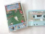 1987第四屆全國大專創作歌謠比賽優勝紀念專輯 / 年輕的感覺