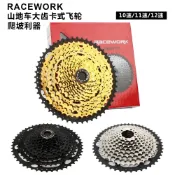 歡樂購物網 臺產RACEWORK山地車盒裝卡式飛輪10 11 12速42 46 50 52T大齒飛輪