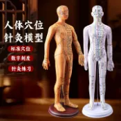 聚優甄選 【台灣公司 可開發票】中醫人體經絡模型人體模型全身刻度按摩穴位針灸扎針推拿十二小皮