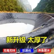 【可開統編】魚塘防滲膜魚池防水帆布水產養殖塑料膜蓄水池篷布膜油布專用加厚
