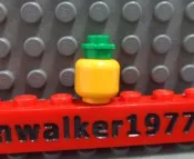 【積木2010】樂高 LEGO 香吉士 橘子 柳橙 / 水果 食物 道具