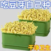 楓幕百貨 48H出貨！發豆芽神器可攜式工具神器生綠豆芽豆芽盆種植盒發芽盆家用豆芽盒子