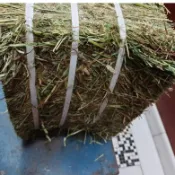 【萌寵健康牧草屋】牧草批發25公斤草捆優質提摩西一割百幕達苜蓿燕麥草兔子龍貓豚鼠荷蘭豬牛羊馬牧草