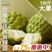 【台灣好農】⭐【天天75折】台東永恆大目釋迦(大果)(5台斤)-台東味-產地出貨
