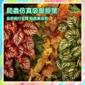 ★爬蟲新樂園★[台灣現貨]爬蟲仿真吸盤掛葉 自然生動 造景首選 壓克力箱 網籠(束線帶固定)皆可適用 樹棲爬蟲 守宮