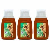 【彩花蜜】台灣龍眼蜂蜜700g不殘留擠壓瓶X3入