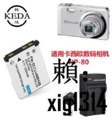 適用卡西歐EX-ZS200 ZS220 G1 H5 QV-R100 R300照相機電池+充電器