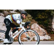 『小蔡單車』義大利 可樂果 COLNAGO 冠軍 V5RS 車架 爬坡車 公路車 自行車 Tadej Pogačar