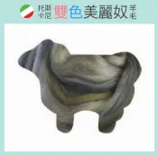 幅新手織 義大利托斯卡尼- 雙色美麗奴羊毛 DDM814沼澤｜50g｜DIY手作/羊毛氈材料/文創