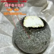 【白霜滿布】2009年老樹小青柑，真幹倉存放16年！《甘甜潤滑，yao香細膩，回甘生津，涼意舒暢》500克/份！