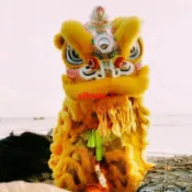 優  表演道具 舞獅道具南獅醒獅雙人成人澳洲羊毛佛山獅標準獅頭舞龍舞獅子全套