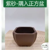 【滿額免運】紫砂 隅入正方盆 中國風 多肉 紫砂花盆 透氣蘭花盆 紫砂花盆 羅漢松花盆 紫砂盆景盆 透氣 古典 綜一園藝