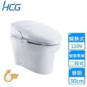 【HCG 和成】智慧型超級馬桶/管距30公分 AFC167〈不含安裝〉