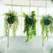 😇仿真植物😇蕨類垂吊植物 龜背葉植物 垂吊植物 懸吊植物 吊飾室內植物 空中掛件 樹根蕨類草 餐廳走廊吊頂植物 裝飾綠植