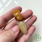 協貿國際日用品生活2館 天然玉石岫巖玉石王紅花玉龍牙龍騰盛世玉佩掛件項鏈玉墜件毛衣鏈