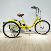 常鴻萬貨行 24寸腳踏助力三輪自行車36V48V鋰電 老年代步休閑 三輪車