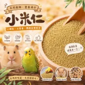 小米穀物原糧 鳥類穀物 小米仁 600g一斤裝 精選小米仁 鳥飼料穀物 鸚鵡鴿子文鳥配糧 精選小米原糧【20083】