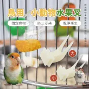 (店+)【小搗蛋鬼の王國】鳥用小動物水果叉 鳥用水果餵食器 鸚鵡鳥用水果叉 鳥籠水果叉 鳥籠配件果叉 鳥食叉 小寵水果叉 鳥用品