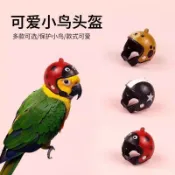 🔥熱銷🔥 鸚鵡頭盔 防打架 寵物造型帽 鴿子 雞 鳥頭保護套 蜜袋鼠 機車帽 鴨子頭飾
