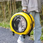 寵物拉桿背包 寵物外出包 寵物推車 貓咪外出拉桿箱透明寵物行李箱狗狗外出便攜包大容量太空艙貓 潼YOYO