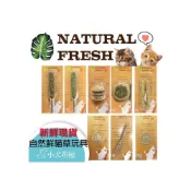 (店+)短效出清【自然鮮】《貓用天然紓壓玩具》木天蓼 / 貓薄荷 / 虫嬰果，生日蛋糕.冰棒.蛋捲.漢堡.潔牙棒，是玩具也是貓零