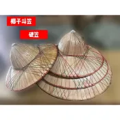 (店+)椰子斗笠/硬笠 1尺.1.4尺1.6尺1.8尺  遮陽防曬 農用 表演 兒童斗笠 飢餓30