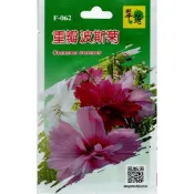 【隔日到貨】 重瓣波斯菊種子【翠筠種子】花卉種子 每包約50粒 新鮮種子 彩色原包裝種子 無藥劑處理
