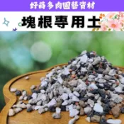 ✫好蒔多肉✫ 🌺快速出貨🌺塊根專用介質 山烏龜 龜甲龍 赤玉土 沙漠玫瑰 奇異油柑 塊根專用土 塊根介質