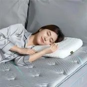 【Fulux 弗洛克】買1送1｜適頸6號(標準型/曲線型)6cm記憶枕｜高密度記憶綿｜Tencel天絲｜銀離子抗菌