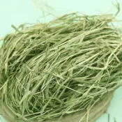 【青青草原寵物館】柔軟適口優質牧草 過篩百慕達甜小麥草提摩西一割二割燕麥草苜蓿 居家養寵兔子龍貓天竺鼠豚鼠陸龜牛羊馬專用