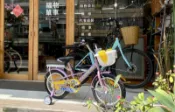 萊禮 RALEIGH 16吋 女生 童車