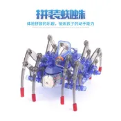 新陽光 蜘蛛機器人 電動蜘蛛 科學組裝機器人 自裝機器蜘蛛 仿生獸 機械獸 科學教具 科學實驗 科學玩具 DIY 拼裝
