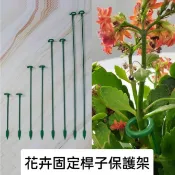 現貨 園藝花支架 5入 花卉植物固定桿 花架爬藤架 庭院葡萄架子 蘭花支架 盆栽支架 拼接花架【A-15978】全盛