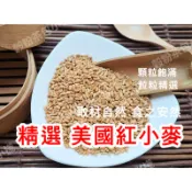 『穀粉茶包小棧』《精選美國 紅小麥》 小麥 五穀雜糧 || 夾鏈袋真空包裝 || 天然穀香 × 純粹原味