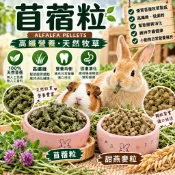 ※兔老爺※現貨快速出貨 兔飼料 100g 8元 兔子 天竺鼠 磨牙硬飼料 兔子飼料 牧草飼料 苜蓿粒 提摩西粒 提摩西