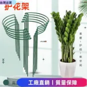 24H🍿花支柱金錢樹龜背竹天堂鳥植物架防倒伏固定護花架子支撐架定型 CZL8