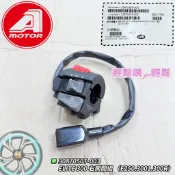 宏佳騰 AEON ELITE 300I 300E E250 ELITE 300R 五期 六期 原廠 左開關 右開關