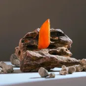(店+)【YUXIAN FRESHFOOD 魚香涎】【魚香涎養殖】一口琥珀烏魚子50g(夾鏈袋)