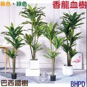 多款式 北歐 仿真盆栽 香龍血樹 巴西鐵樹 【福滿來】假植物盆栽 園藝 綠化植物 美化環境 擺設BHPD