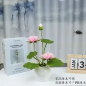 楓林宜居 荷花真供蓮花堂供花觀音前花家居裝飾花盆栽花擺件花廠家直銷