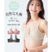 Nissen Petit Chou 小胸女孩 AAA罩杯 改善空杯 無鋼圈內衣 集中厚墊 脇高收副乳 舒適棉質