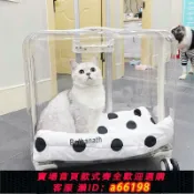 妙妙屋 【台灣公司 可開發票】寵物外出便攜透明狗狗超大號行李箱貓包拉桿箱太空艙貓咪推車兩只