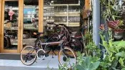 全新款 BAOLI 20吋 451輪組 SHIMANO 7速 折疊車 摺疊車 小折