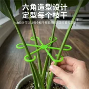 【臺灣出貨】龜背竹支撐杆固定神器花架綠植防倒伏春雨支架金錢樹花卉支架【特惠】