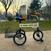 🔥臺灣組合三輪自行車獨輪車倒三輪自行車多功能休閑組合車