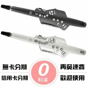 唐尼樂器 TONY MUSIC 免運 Roland AE-10 Aerophone 電子吹管(電子長笛、雙簧管、薩克斯風 管樂器)【唐尼樂器】
