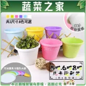 【蔬菜之家】馬卡龍彩盆 5吋/6吋/8吋【六色現貨】亮面 霧面 塑膠花盆 觀葉植物 虎尾蘭 龜背芋 園藝 裝飾花盆 可加