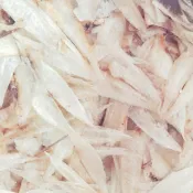 肉扁魚干 半斤/一斤（300克/600克），東港，現貨，快速出貨，零食，伴手禮，年貨