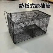 【有發票】大型誘捕籠 踏板式 捕鼠籠 捕獸籠 捕狸籠 捕狗籠 捕貓籠 誘捕籠 補爬蟲類 補禽鳥類 補動物籠